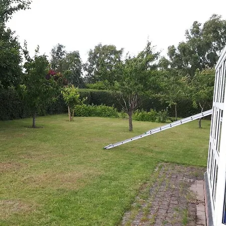 Familieovernatning I Homestay