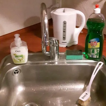 Homestay Familieovernatning I *