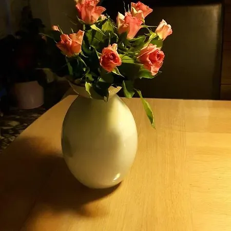 Familieovernatning I Homestay